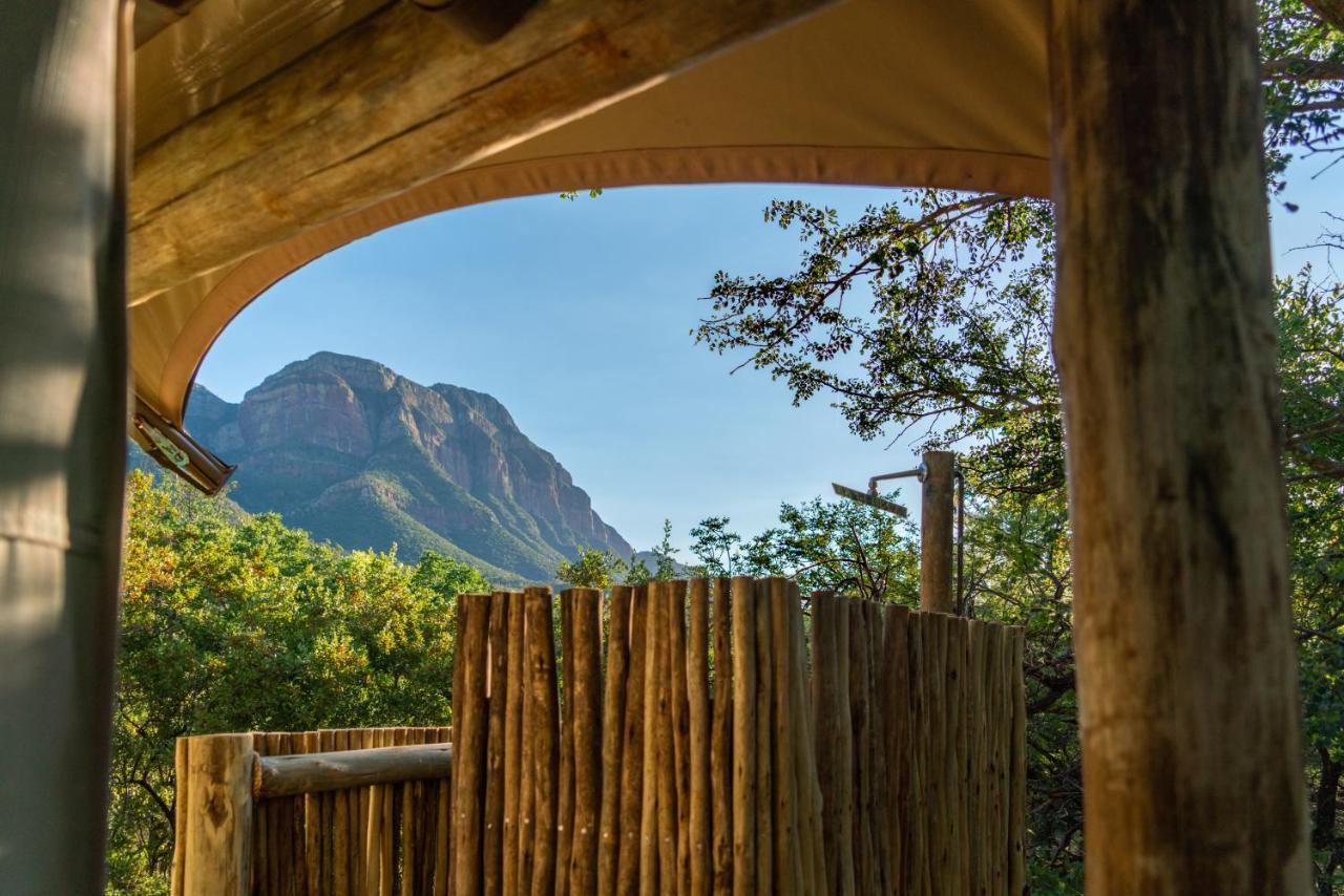Cape Vulture Conservancy Hoedspruit Exterior foto
